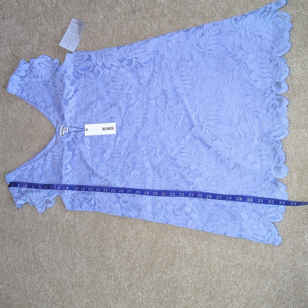 BB Dakota Blue Lace Dress - Picture 10 of 10